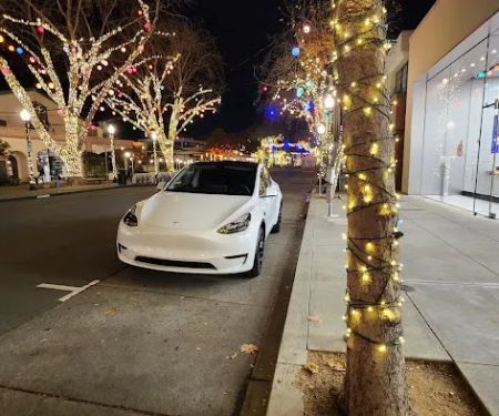 Tesla EV Rentals Inc.