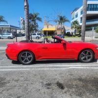 Avis Car Rental ico