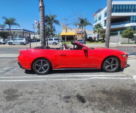 Avis Car Rental