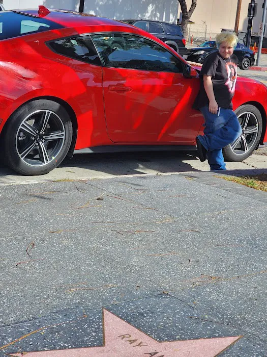 Avis Car Rental Picture 5
