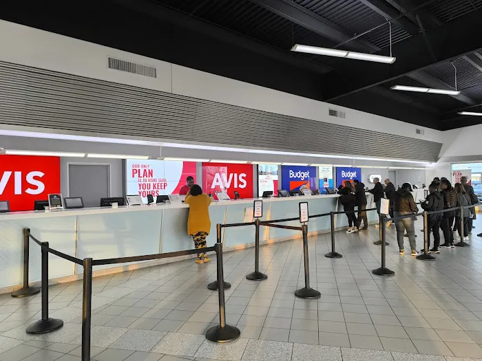 Avis Car Rental Picture 3