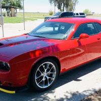 Alamo Rent A Car ico