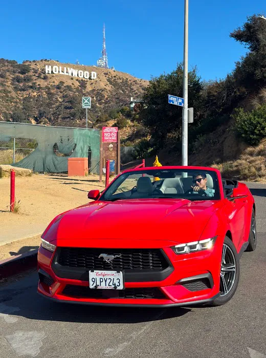 Alamo Rent A Car Picture 9