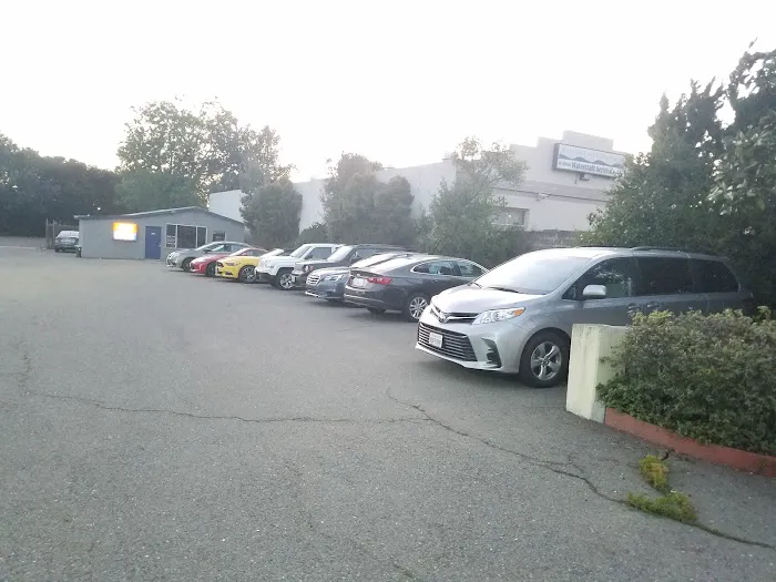 Avis Car Rental Picture 8