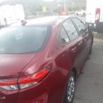 Avis Car Rental
