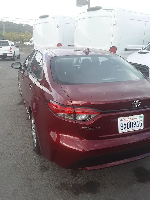 Avis Car Rental Picture 2