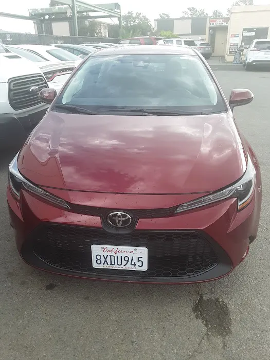 Avis Car Rental Picture 4