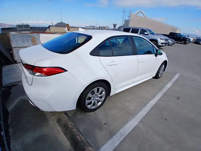 Alamo Rent A Car Picture 2