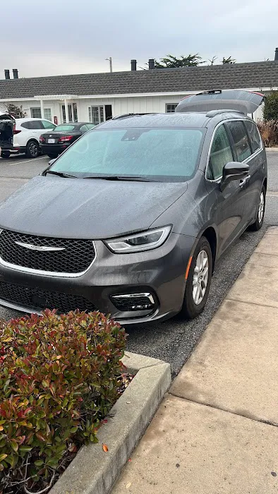 Alamo Rent A Car Picture 4