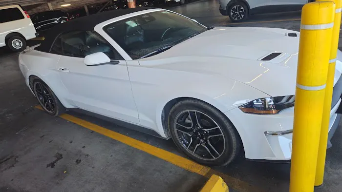 Avis Car Rental Picture 1