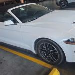 Avis Car Rental