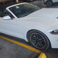 Avis Car Rental ico
