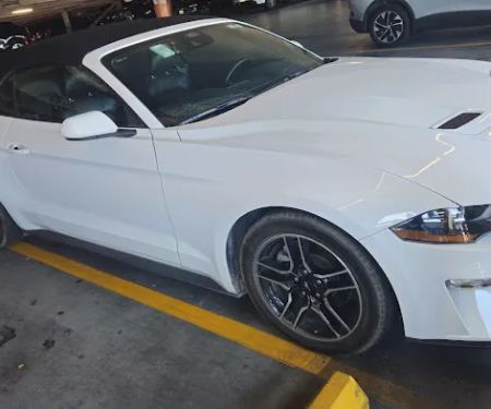 Avis Car Rental