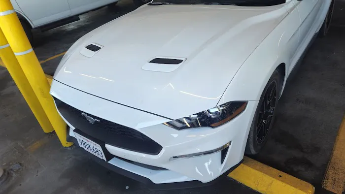 Avis Car Rental Picture 6