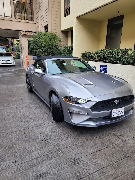Avis Car Rental Picture 7
