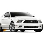Budget Car Rental