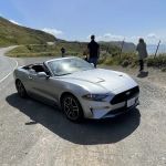 Avis Car Rental