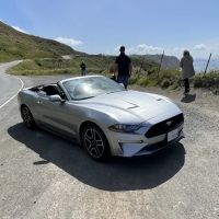 Avis Car Rental ico