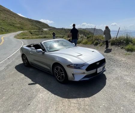 Avis Car Rental