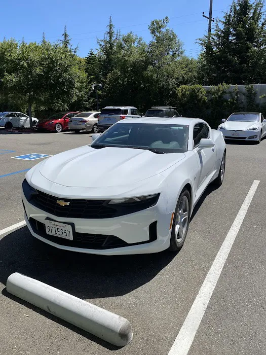 Avis Car Rental Picture 5