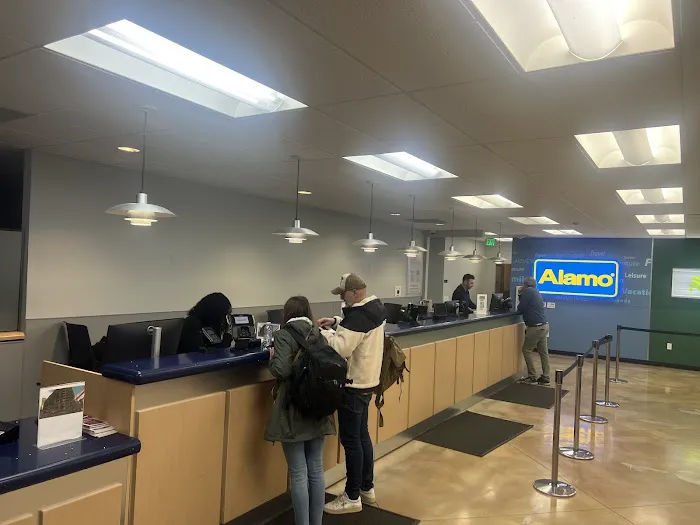 Alamo Rent A Car Picture 4