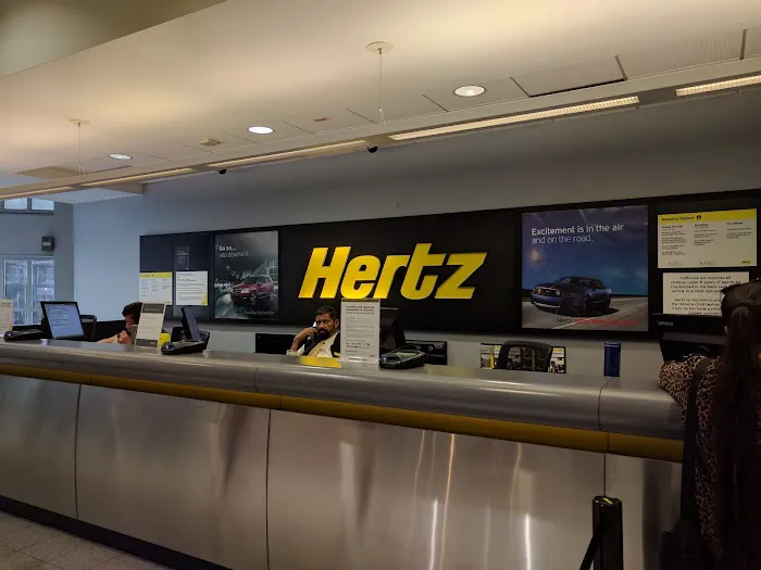 Dollar Car Rental Picture 8