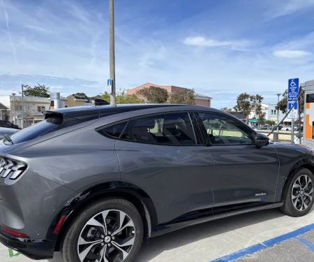Avis Car Rental