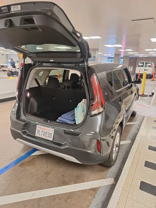 Avis Car Rental Picture 5