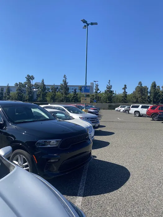 Wisecars Car Rental Picture 9