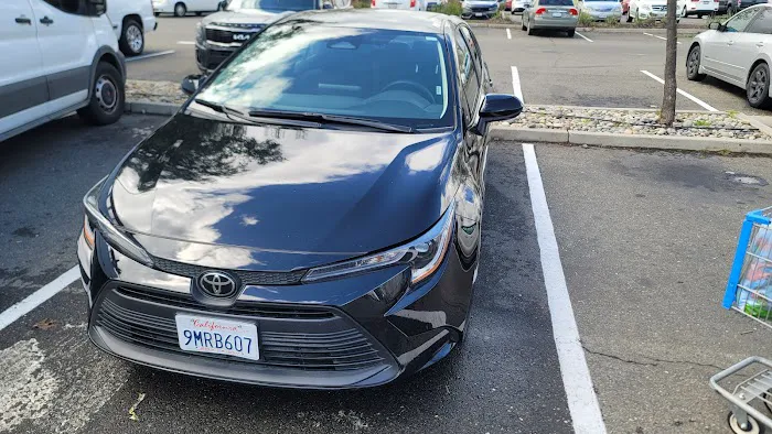 Budget Car Rental Picture 5