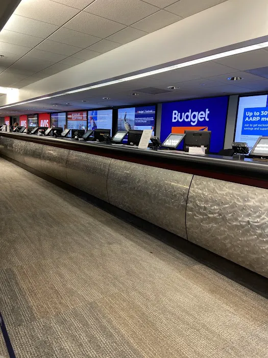 Budget Car Rental Picture 2