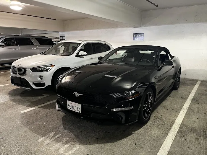 Avis Car Rental Picture 3