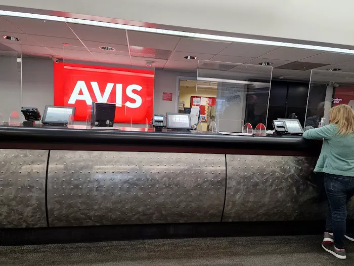 Avis Car Rental Picture 1