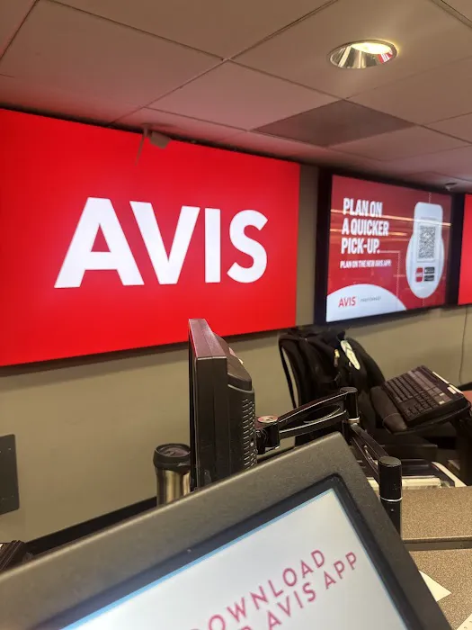 Avis Car Rental Picture 6