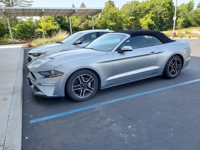 National Car Rental Picture 6