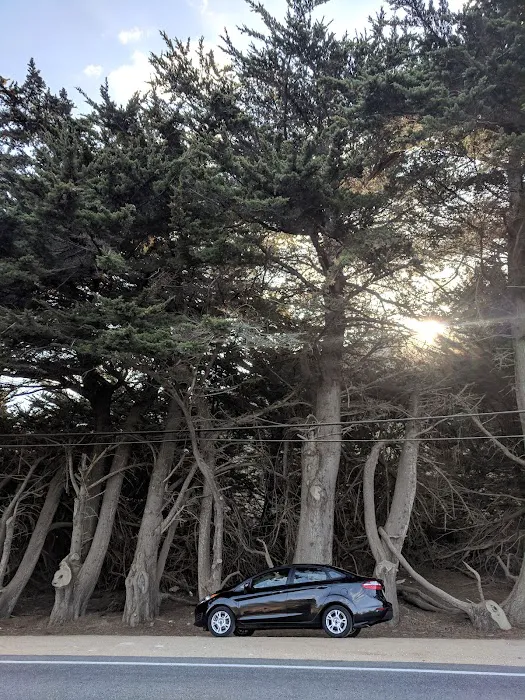 Super Cheap Car Rental Picture 8