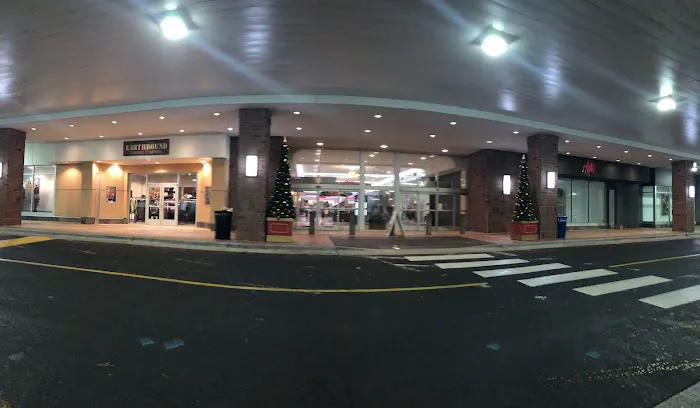 Avis Car Rental Picture 2