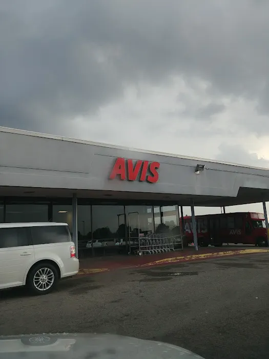 Payless Car Rental Picture 4