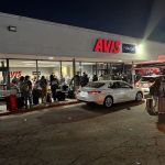Avis Car Rental