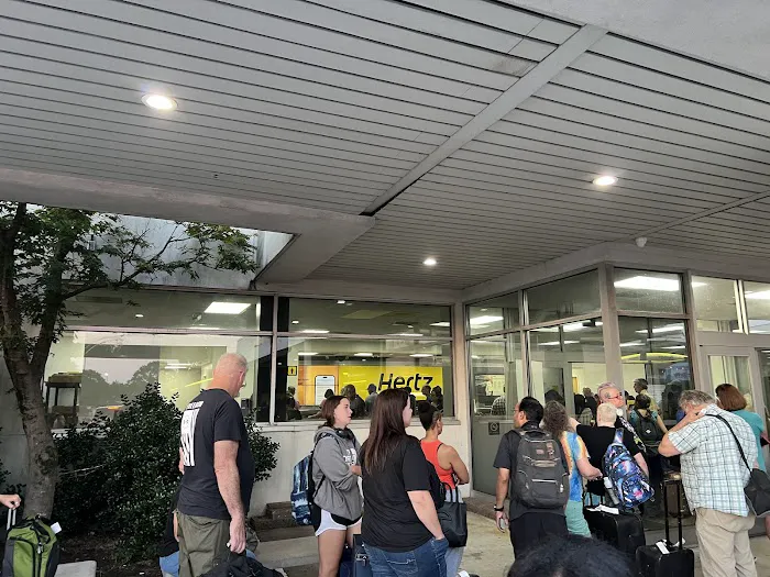 Dollar Car Rental - Raleigh Durham International Airport Picture 7