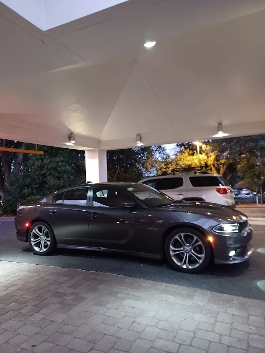 Budget Car Rental Picture 5