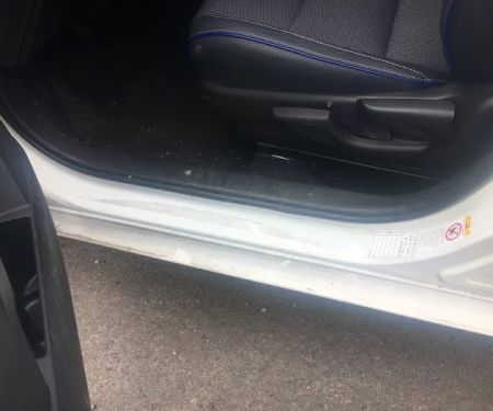 Avis Car Rental