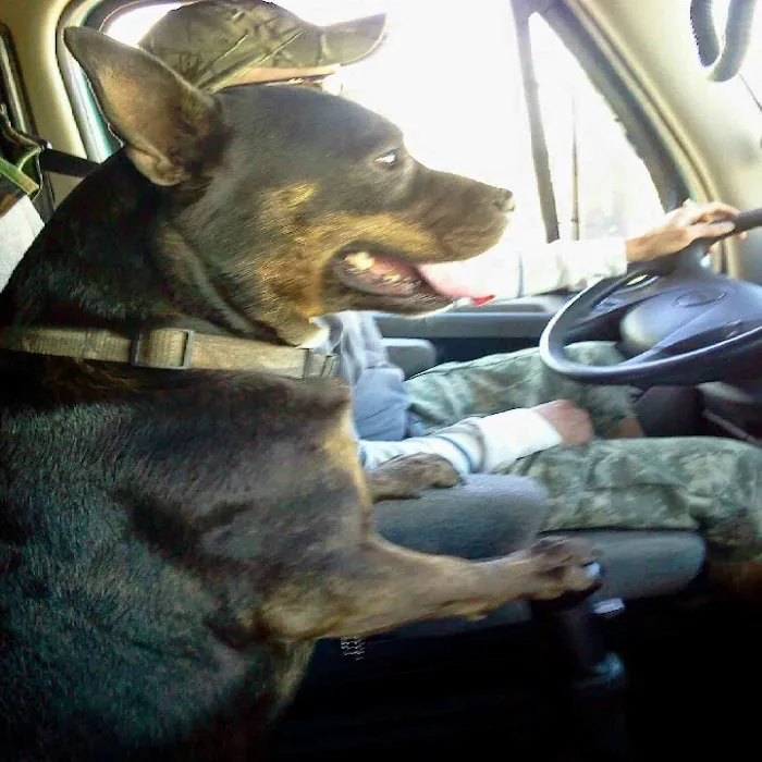 Enterprise Rent-A-Car Picture 9
