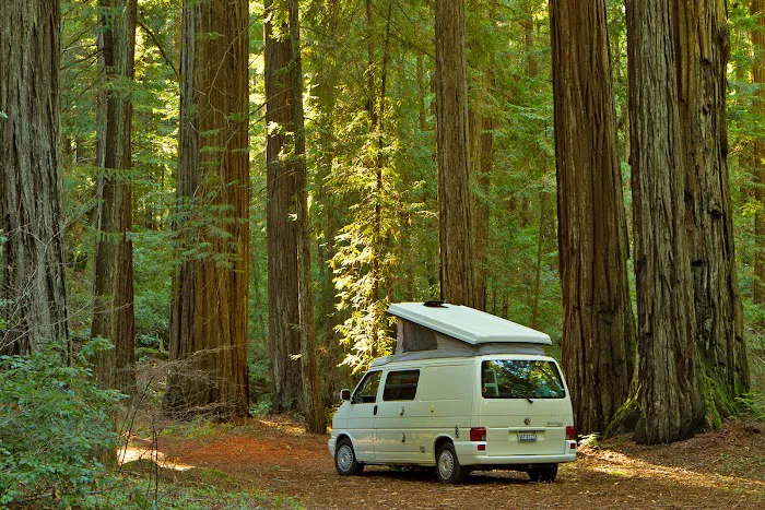 Road Trip Oregon Picture 5