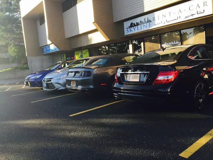 Skyline Rent-a-Car Picture 1