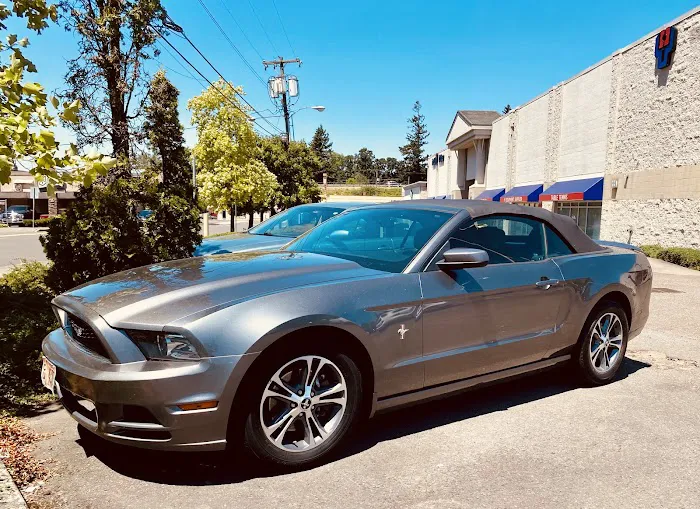 Skyline Rent-a-Car Picture 3