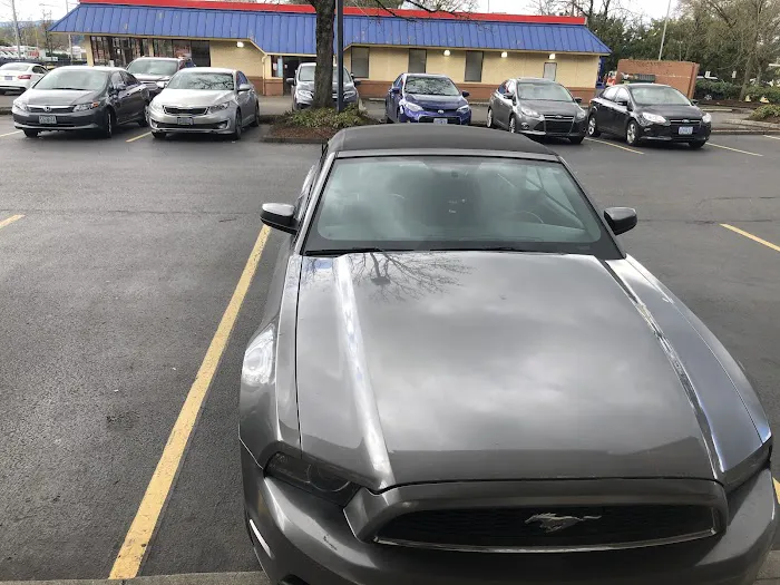 Skyline Rent-a-Car Picture 8