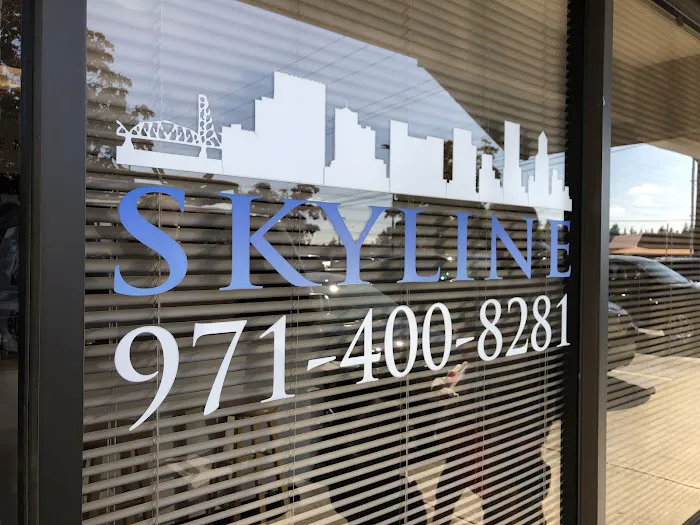 Skyline Rent-a-Car Picture 10