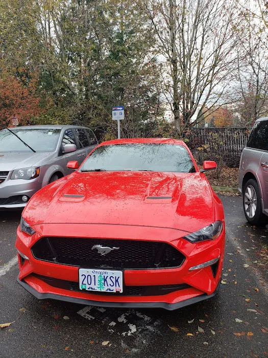 Budget Car Rental Picture 3