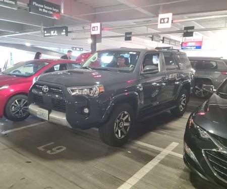 Avis Car Rental